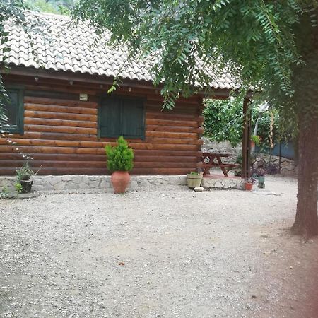 Cabana De Madera La Encina Burunchel Εξωτερικό φωτογραφία