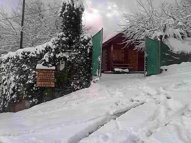 Cabana De Madera La Encina Burunchel Εξωτερικό φωτογραφία
