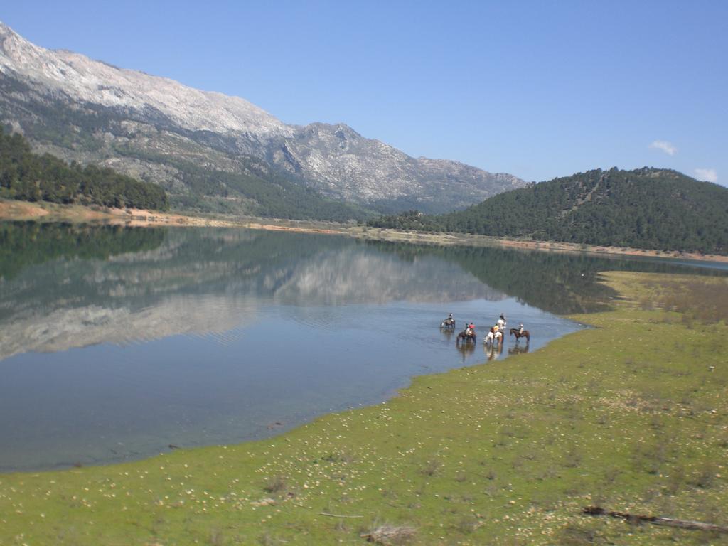 Cabana De Madera La Encina Burunchel Εξωτερικό φωτογραφία