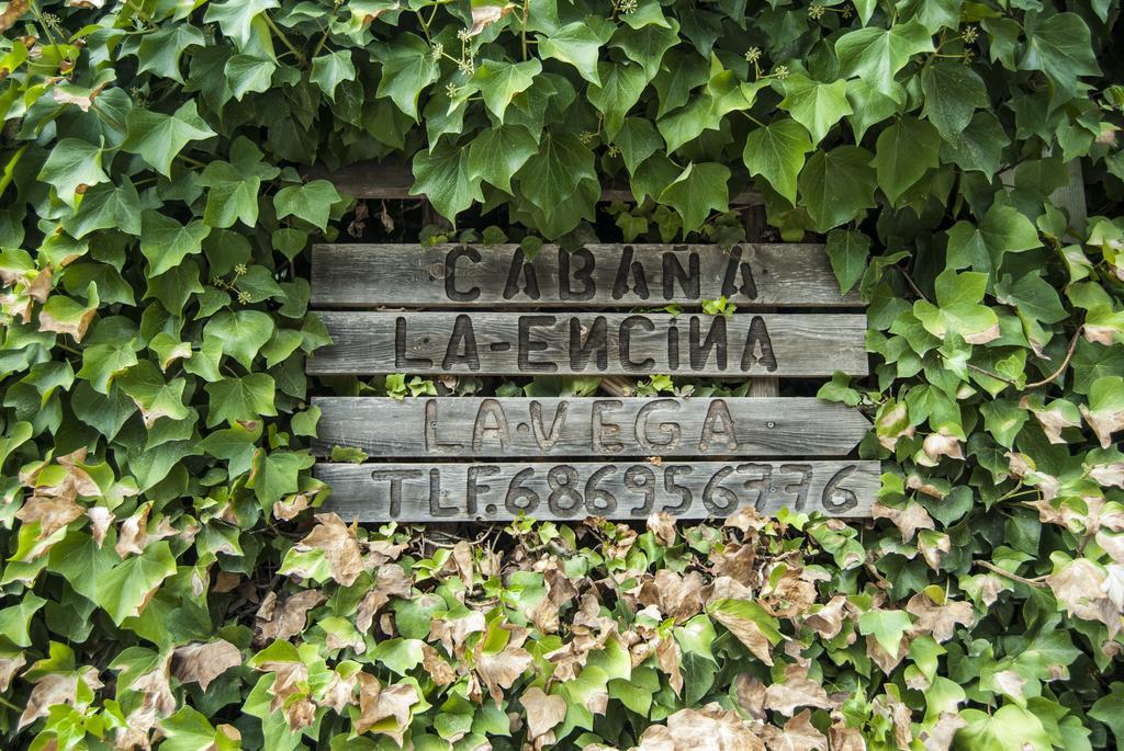 Cabana De Madera La Encina Burunchel Εξωτερικό φωτογραφία
